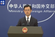 外交部：中方乐见俄美改善关系 为世界和平稳定作出贡献 ...